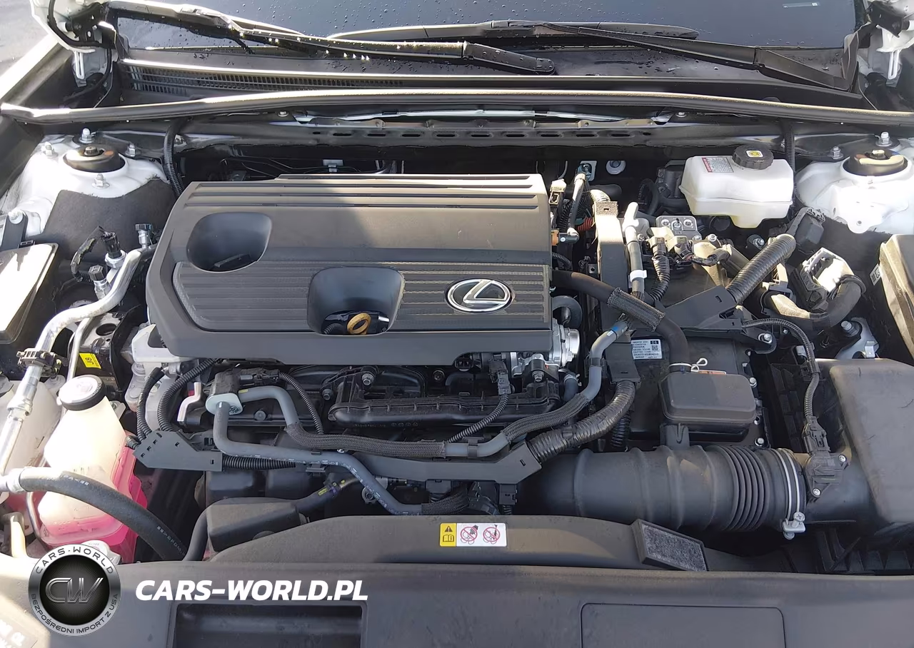 2025 Lexus Es 300H VIN:58ADA1C1XSU063261 - 10