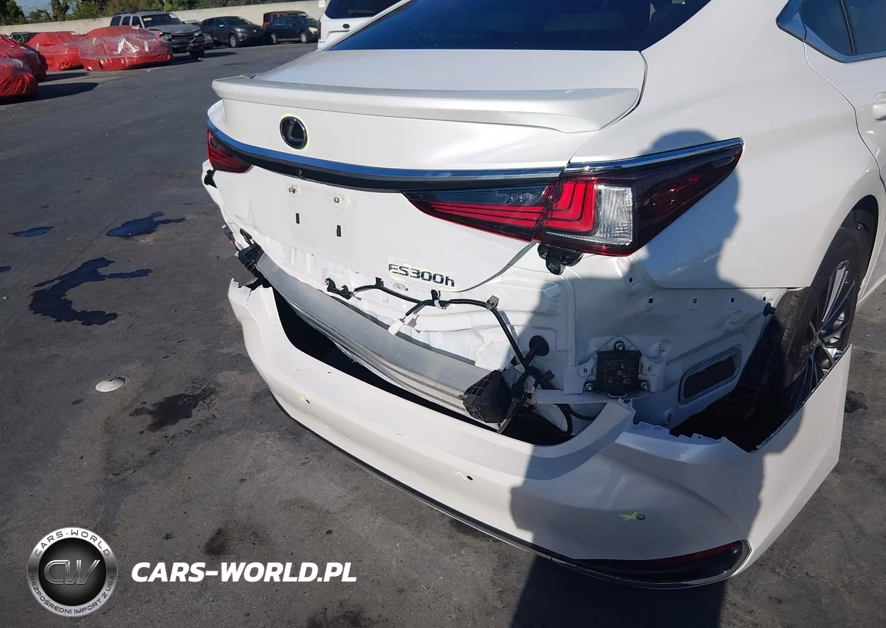 2025 Lexus Es 300H VIN:58ADA1C1XSU063261 - 12