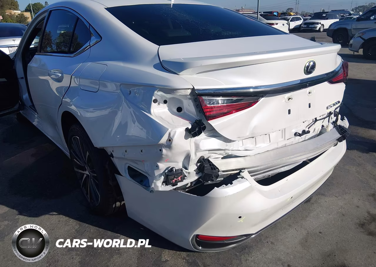 2025 Lexus Es 300H VIN:58ADA1C1XSU063261 - 6