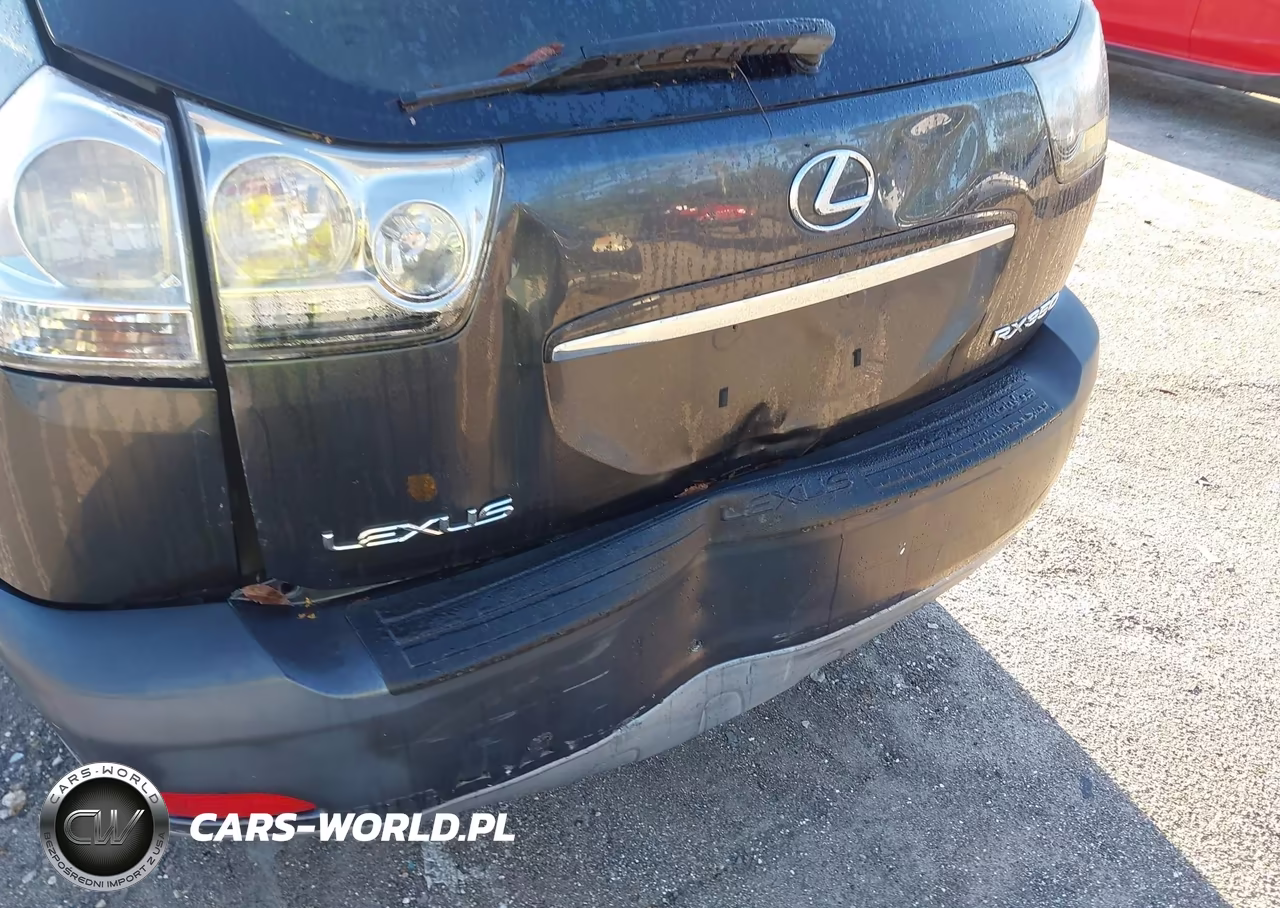 2009 Lexus Rx 350 VIN:2T2GK31U69C065686 - 6