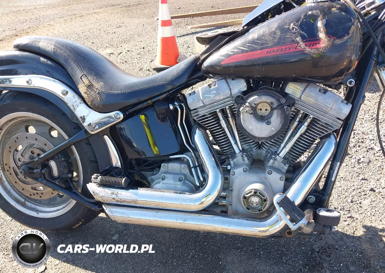 2007 Harley-Davidson Fxst VIN:1HD1BV5117Y084367 - 8
