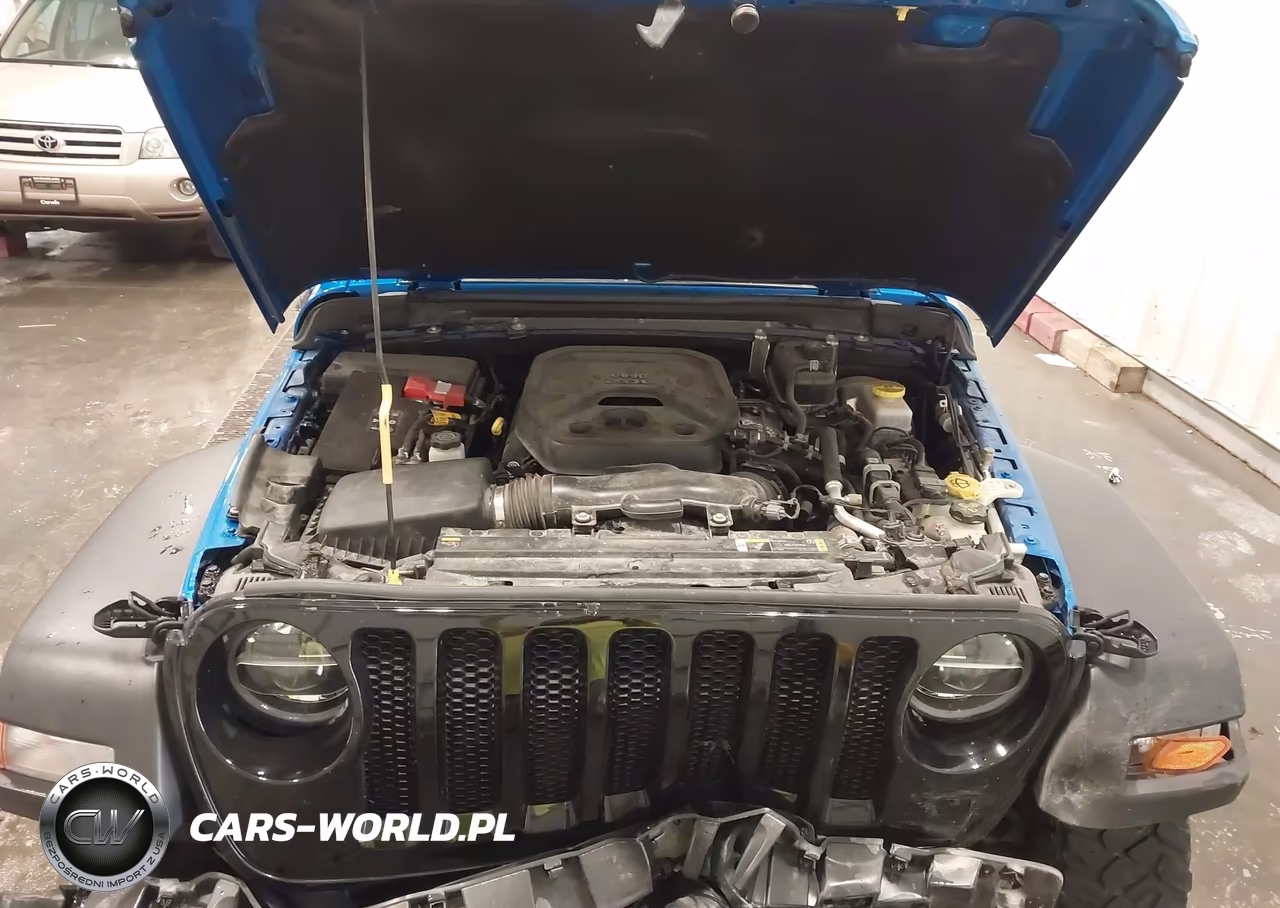 2021 Jeep Wrangler Willys 4X4 VIN:1C4GJXAN9MW789668 - 10