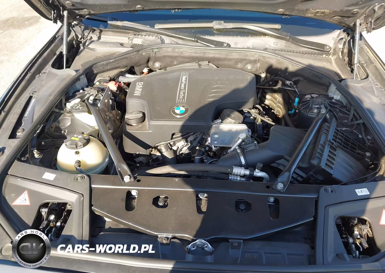 2015 BMW 528I VIN:WBA5A5C59FD521983 - 10