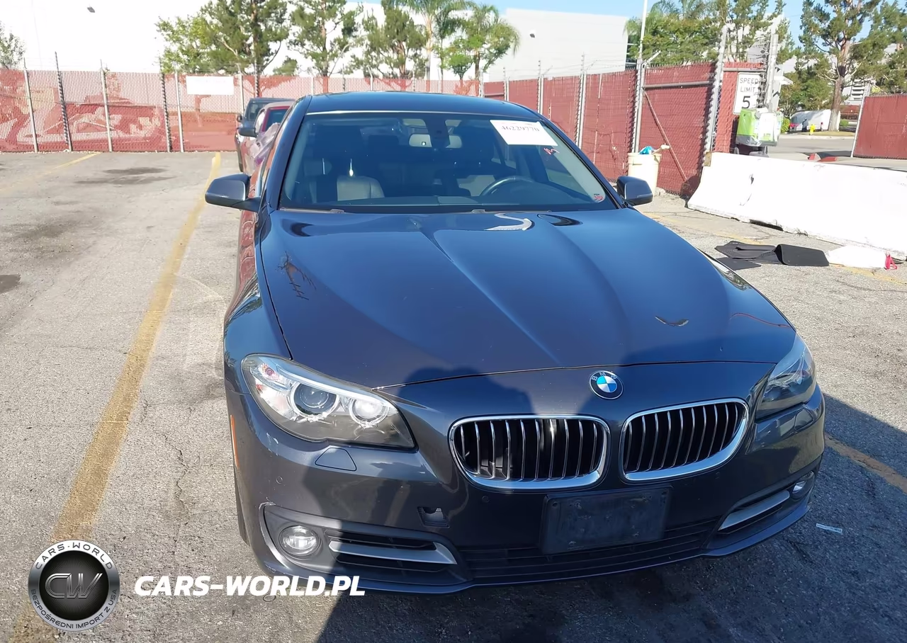 2015 BMW 528I VIN:WBA5A5C59FD521983 - 12