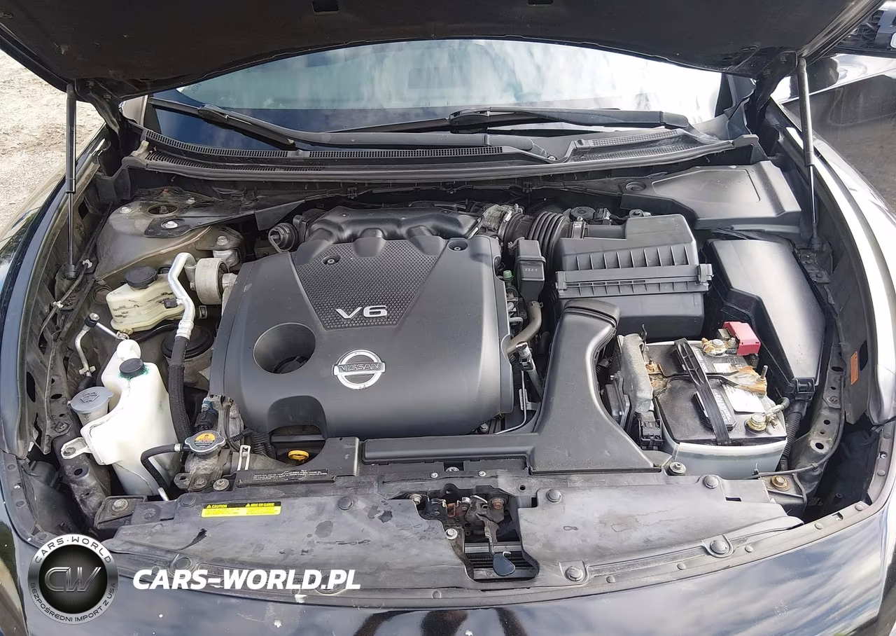 2014 Nissan Maxima 3.5 Sv VIN:1N4AA5AP2EC447449 - 10