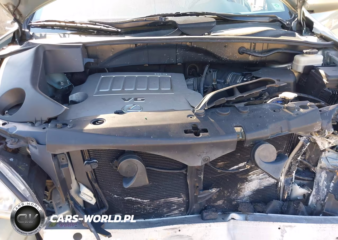 2007 Lexus Rx 350 VIN:2T2HK31U97C041674 - 10