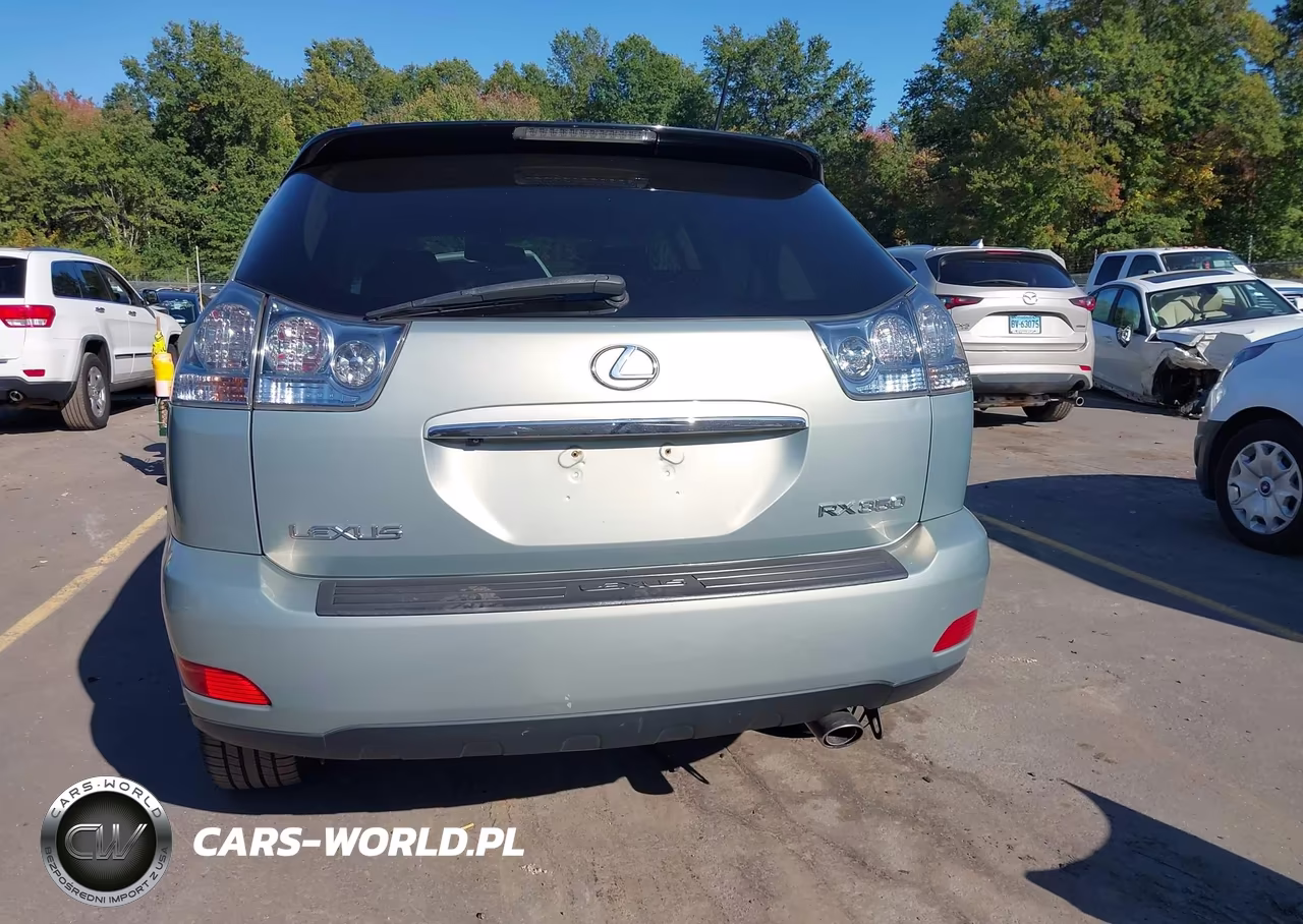 2007 Lexus Rx 350 VIN:2T2HK31U97C041674 - 16