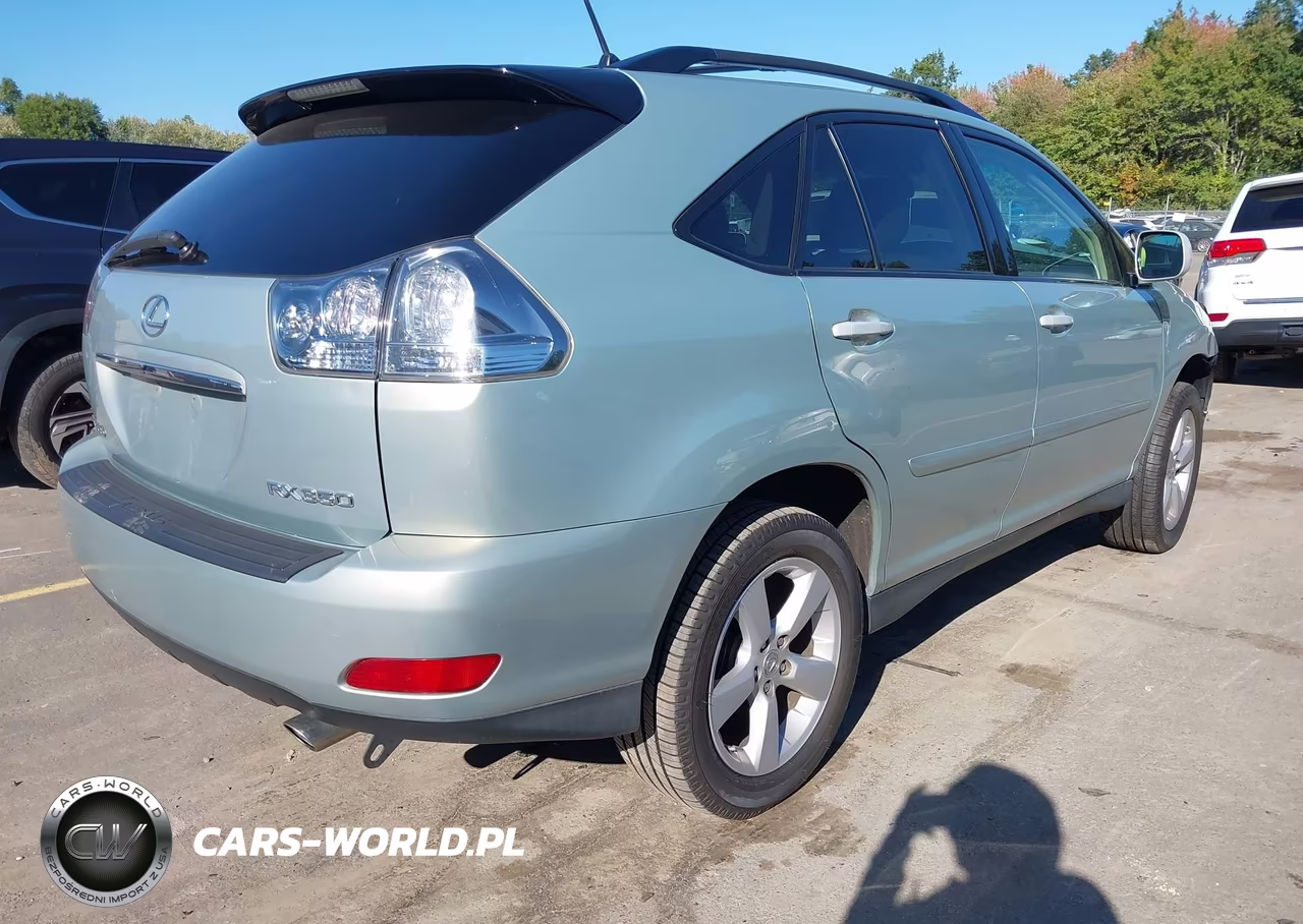 2007 Lexus Rx 350 VIN:2T2HK31U97C041674 - 4