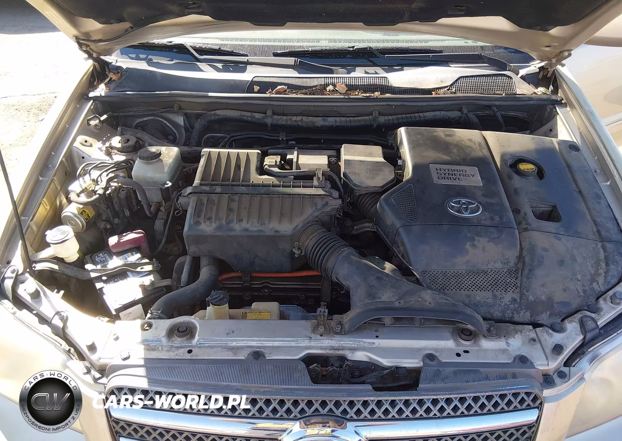 2006 Toyota Highlander Hybrid V6 VIN:JTEDW21A460008416 - 10
