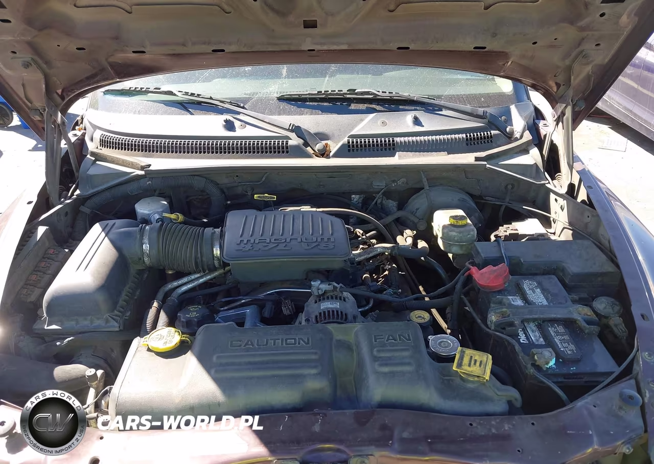 2004 Dodge Dakota Slt VIN:1D7HL48N24S782447 - 10
