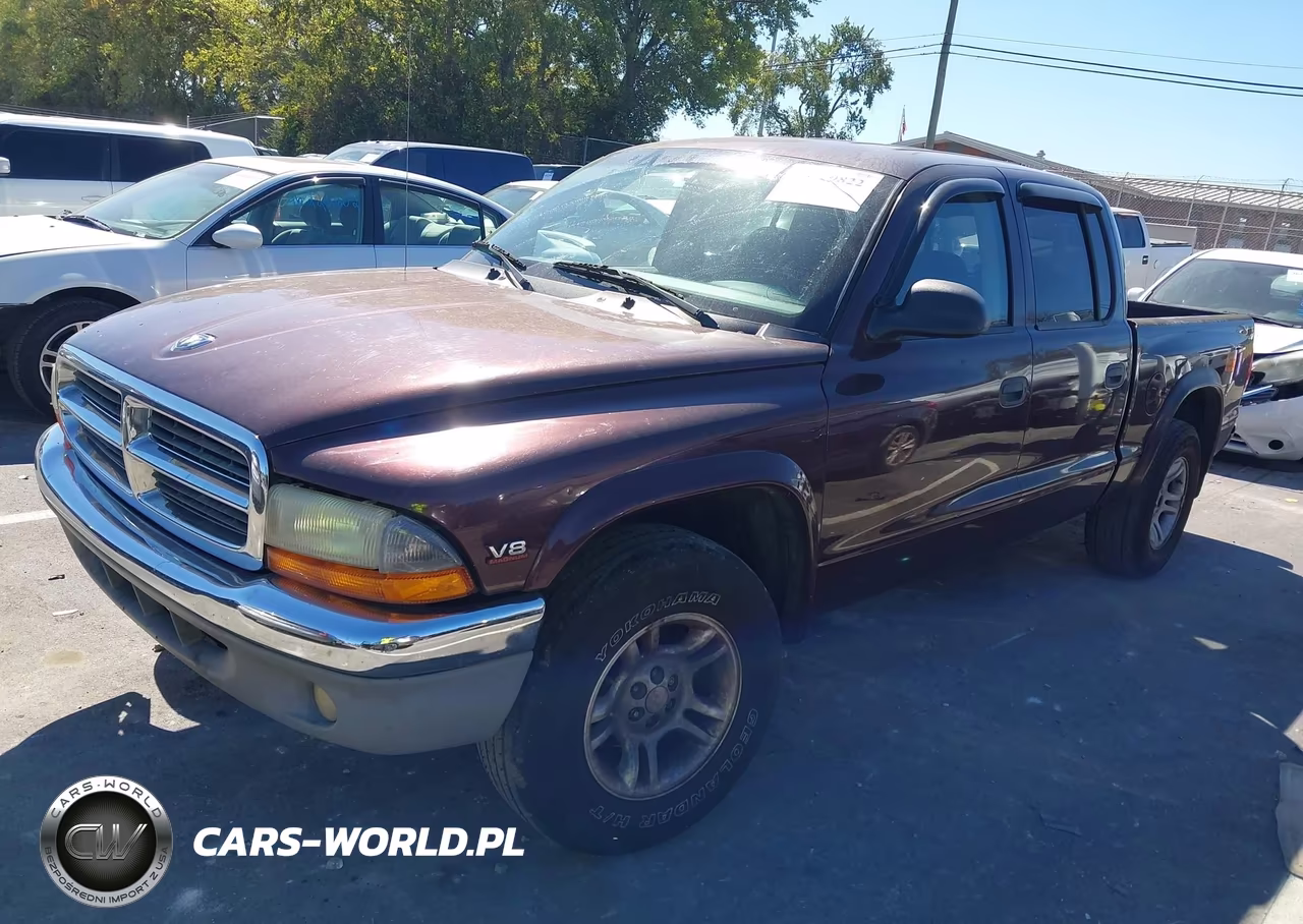2004 Dodge Dakota Slt VIN:1D7HL48N24S782447 - 2