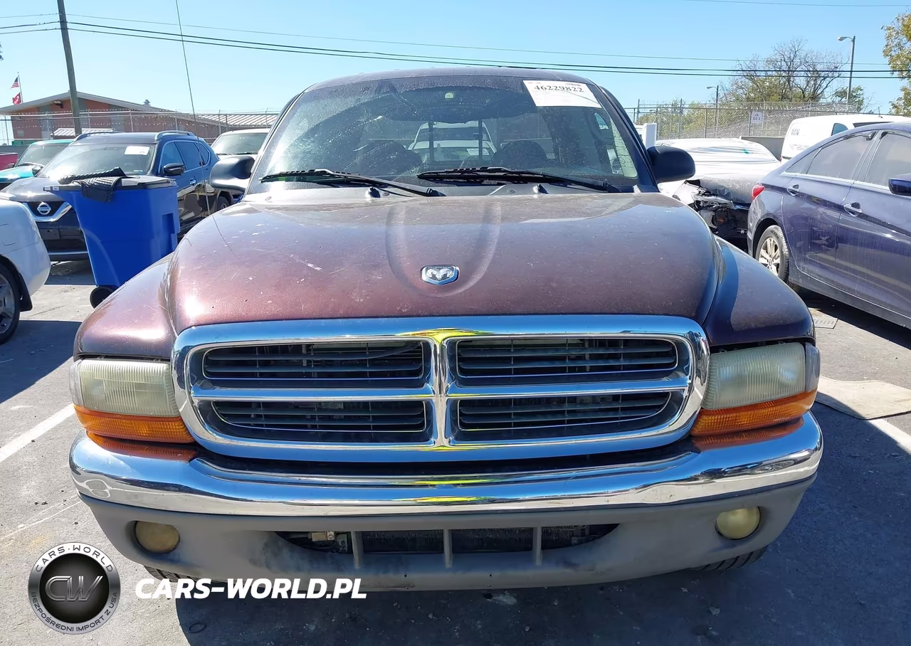 2004 Dodge Dakota Slt VIN:1D7HL48N24S782447 - 6