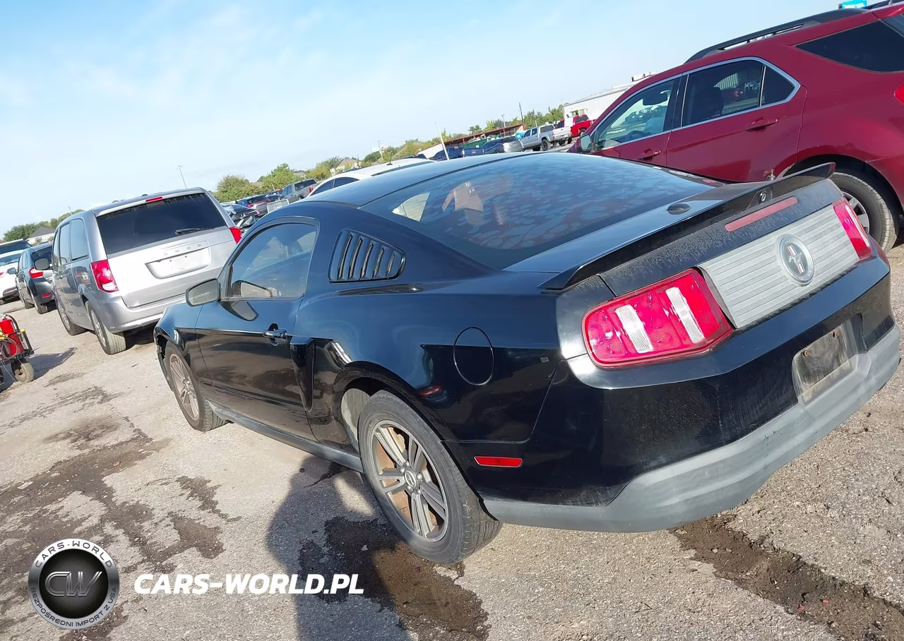 2010 Ford Mustang V6-V6 Premium VIN:1ZVBP8AN4A5166326 - 3