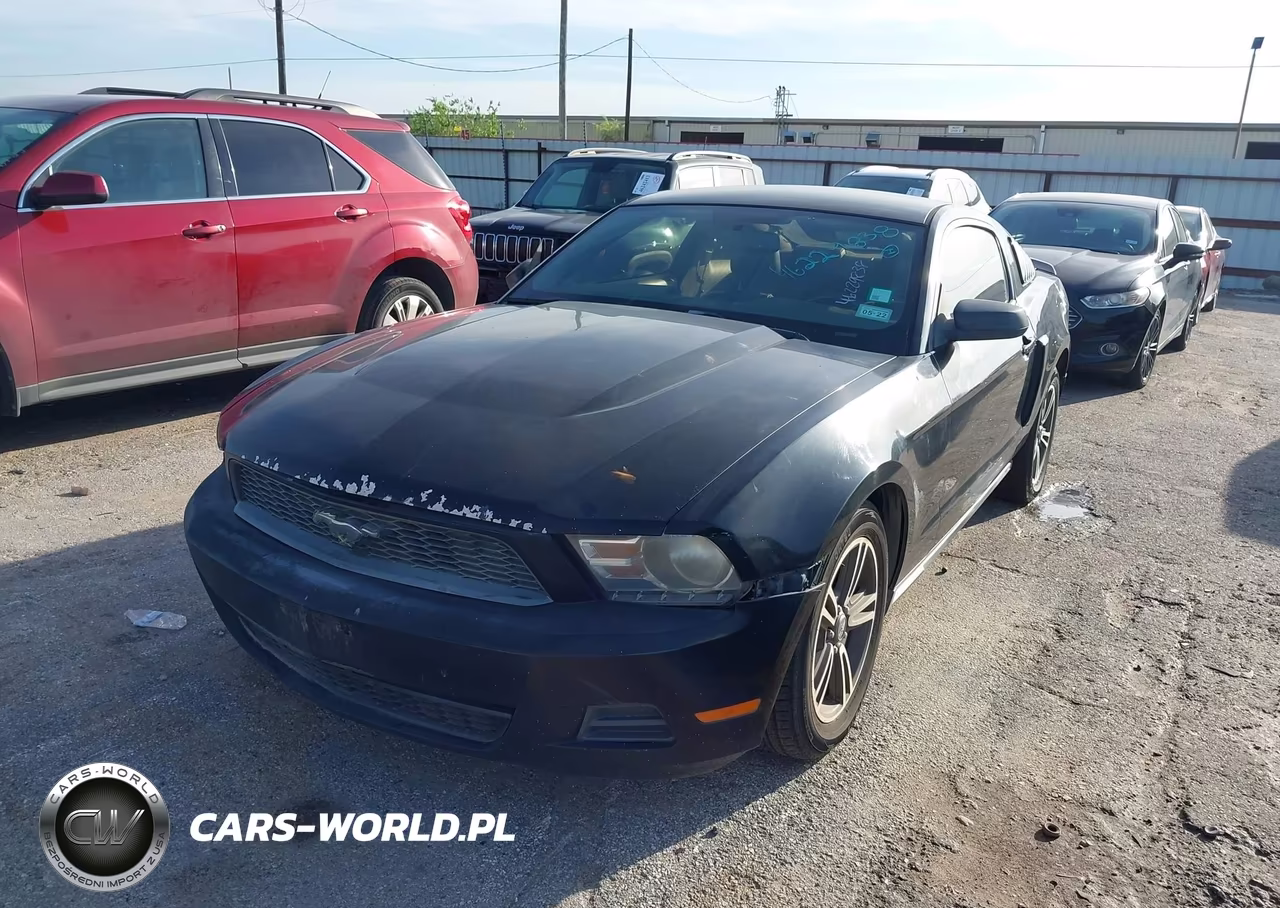 2010 Ford Mustang V6-V6 Premium VIN:1ZVBP8AN4A5166326 - 6