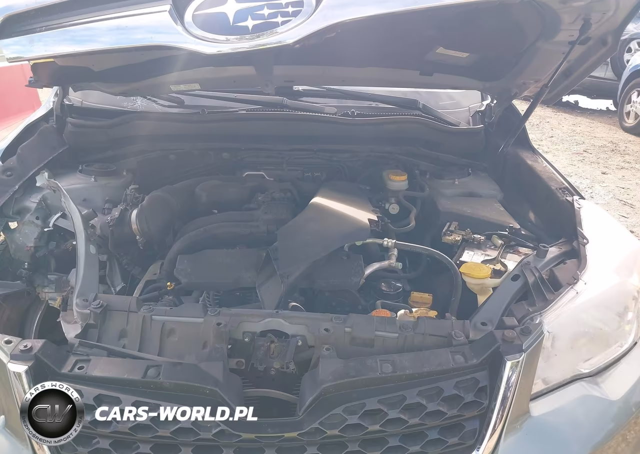 2014 Subaru Forester 2.5I Limited VIN:JF2SJAJC5EH512450 - 10
