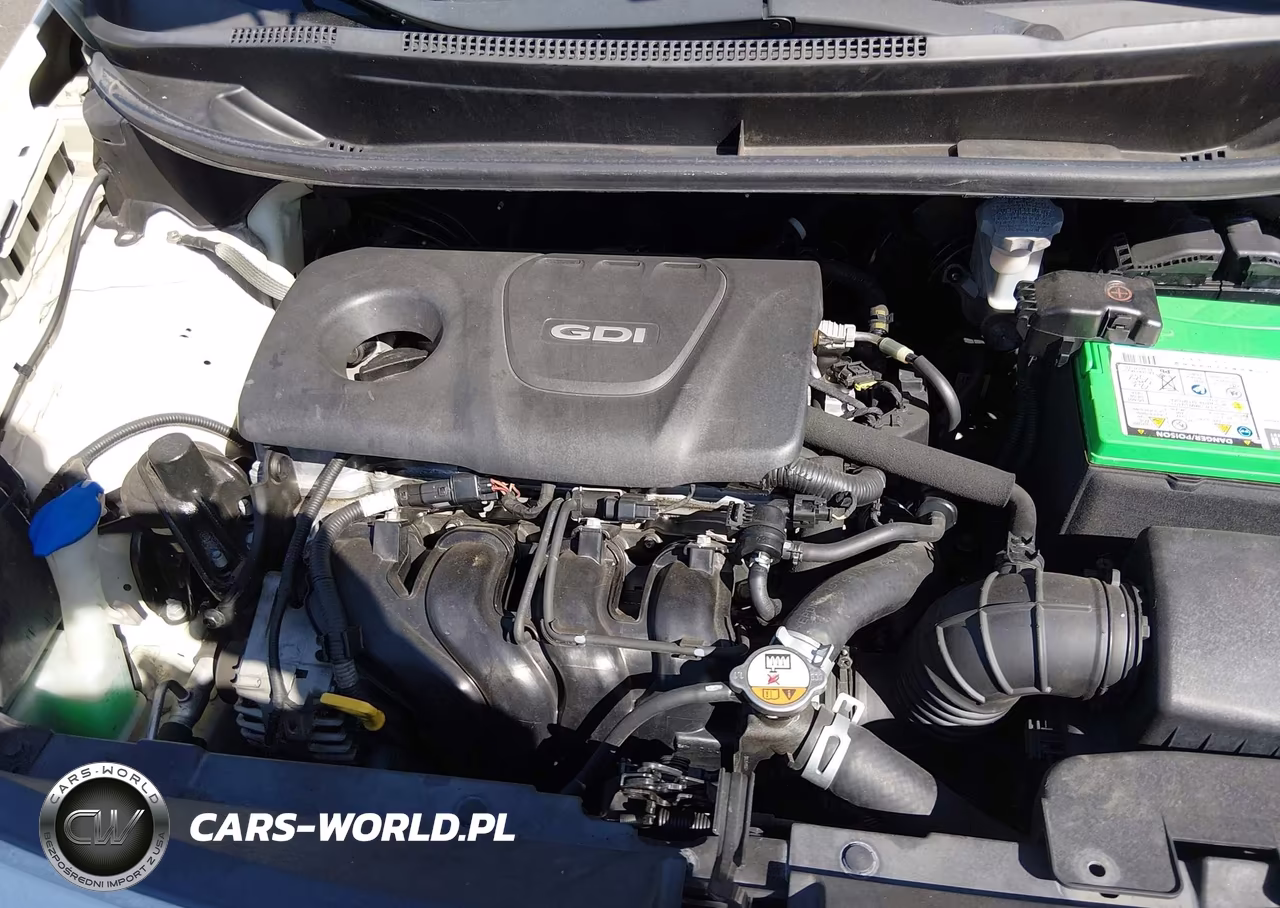 2016 Kia Rio Lx VIN:KNADM4A37G6685527 - 10