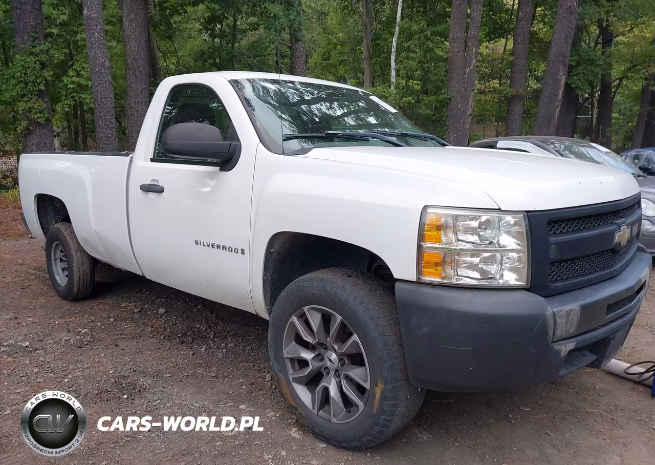 2009 Chevrolet Silverado 1500 Work Truck VIN:1GCEC14X29Z217388 - 1