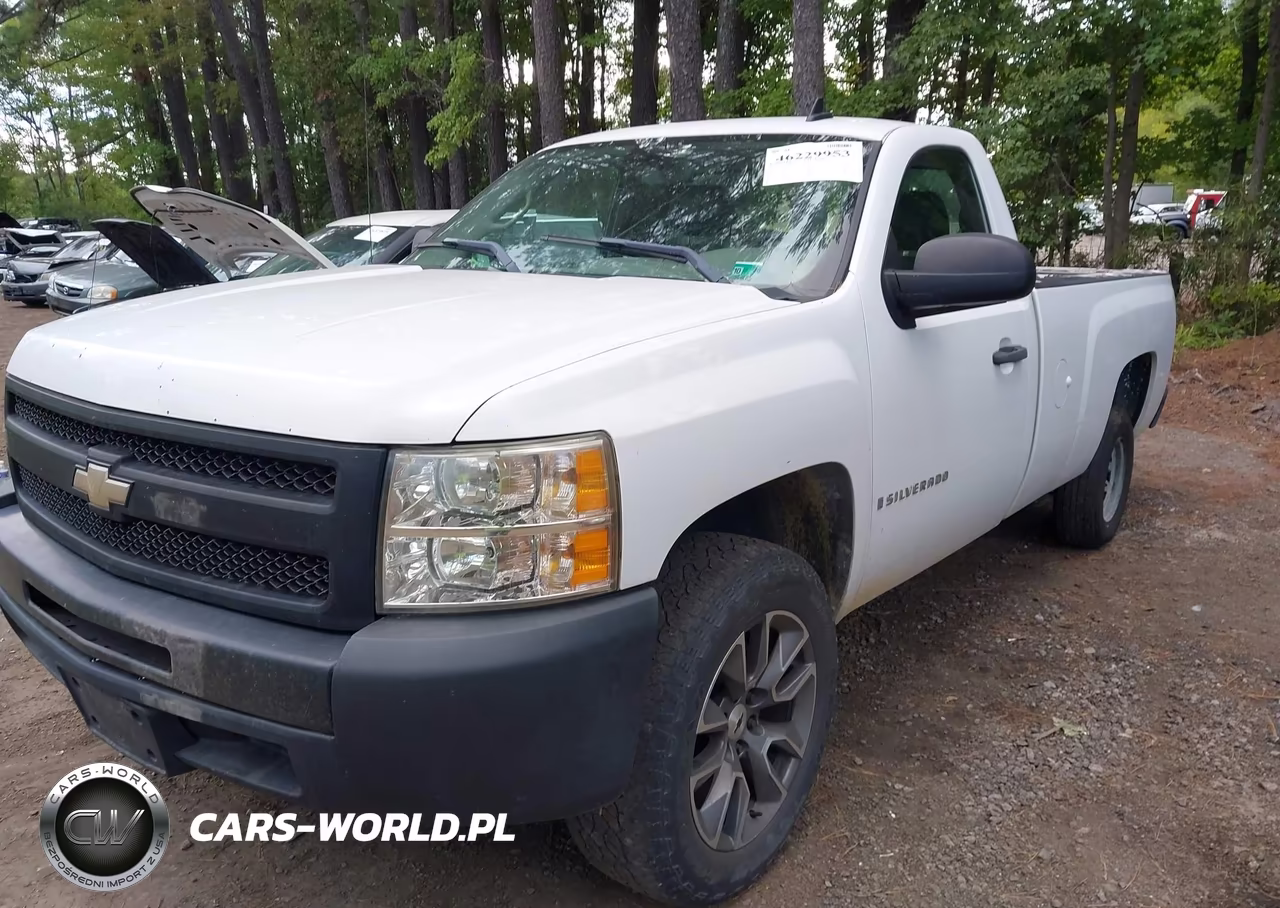 2009 Chevrolet Silverado 1500 Work Truck VIN:1GCEC14X29Z217388 - 2