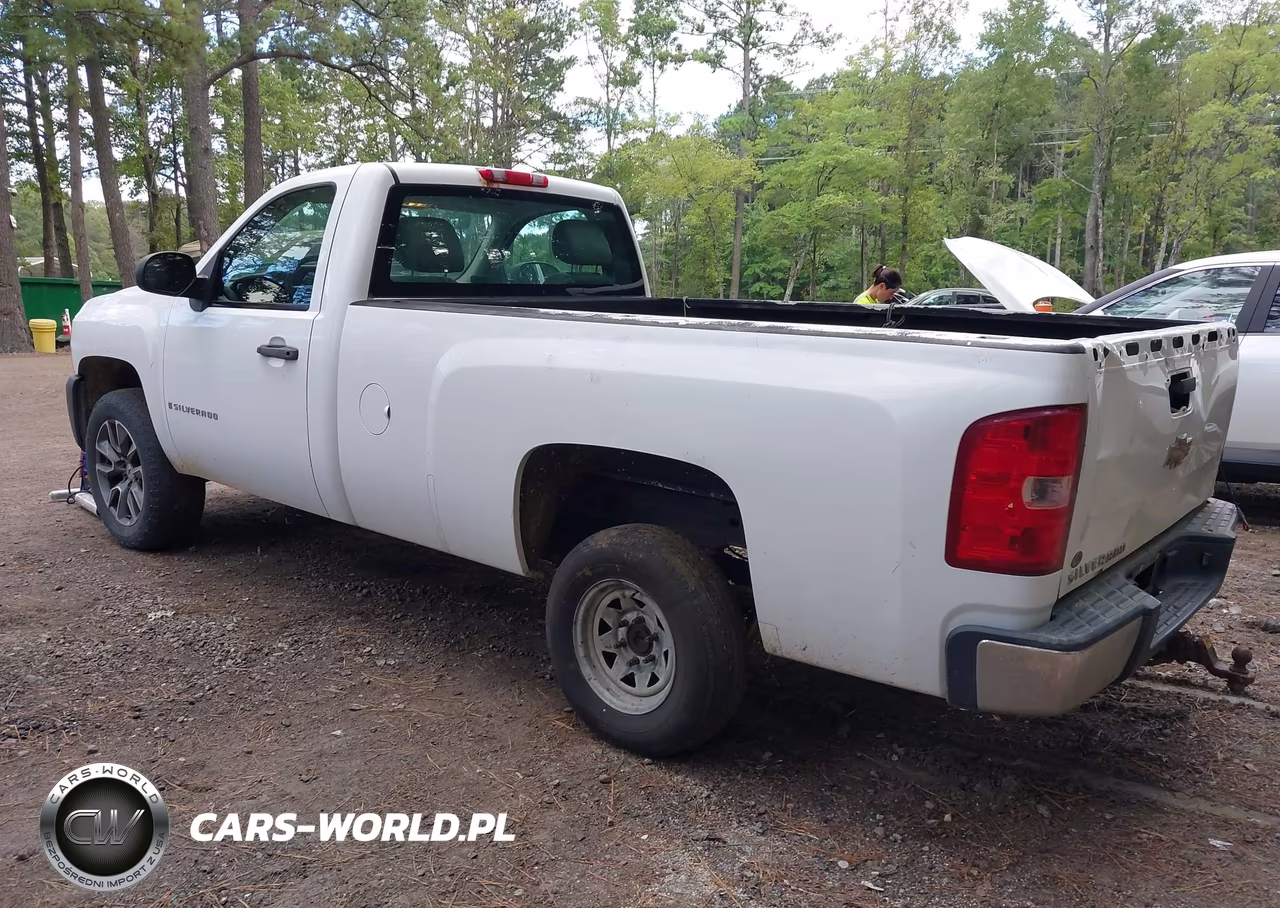 2009 Chevrolet Silverado 1500 Work Truck VIN:1GCEC14X29Z217388 - 3