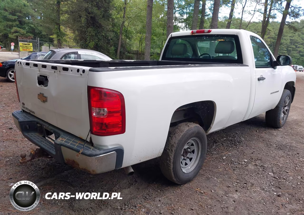 2009 Chevrolet Silverado 1500 Work Truck VIN:1GCEC14X29Z217388 - 4