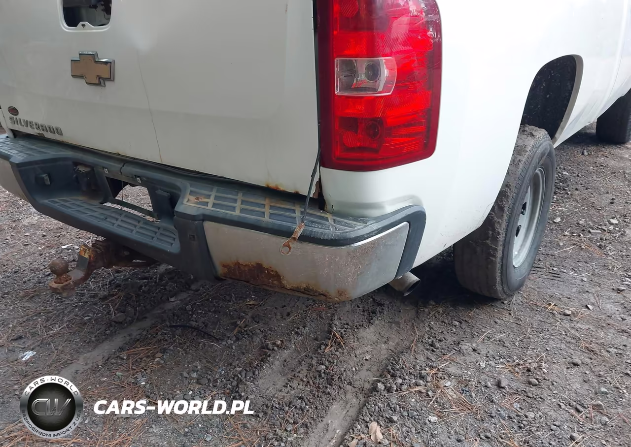 2009 Chevrolet Silverado 1500 Work Truck VIN:1GCEC14X29Z217388 - 6
