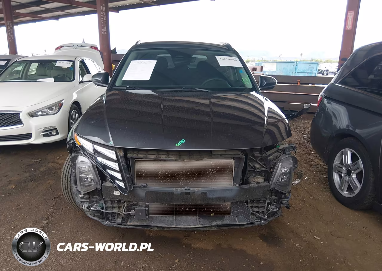 2024 Hyundai Tucson Sel VIN:5NMJBCDE9RH362363 - 12
