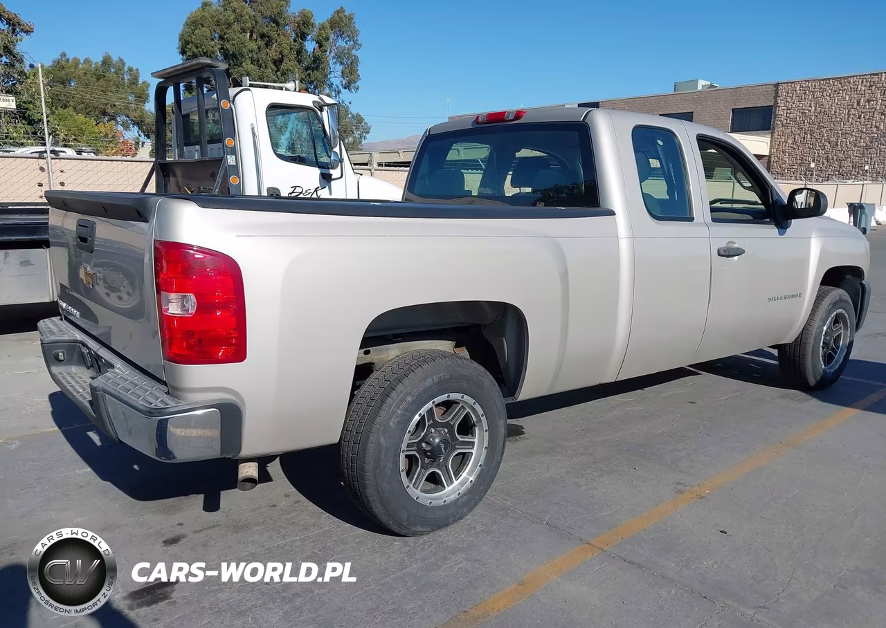 2008 Chevrolet Silverado 1500 Work Truck VIN:1GCEC19X18Z200122 - 4