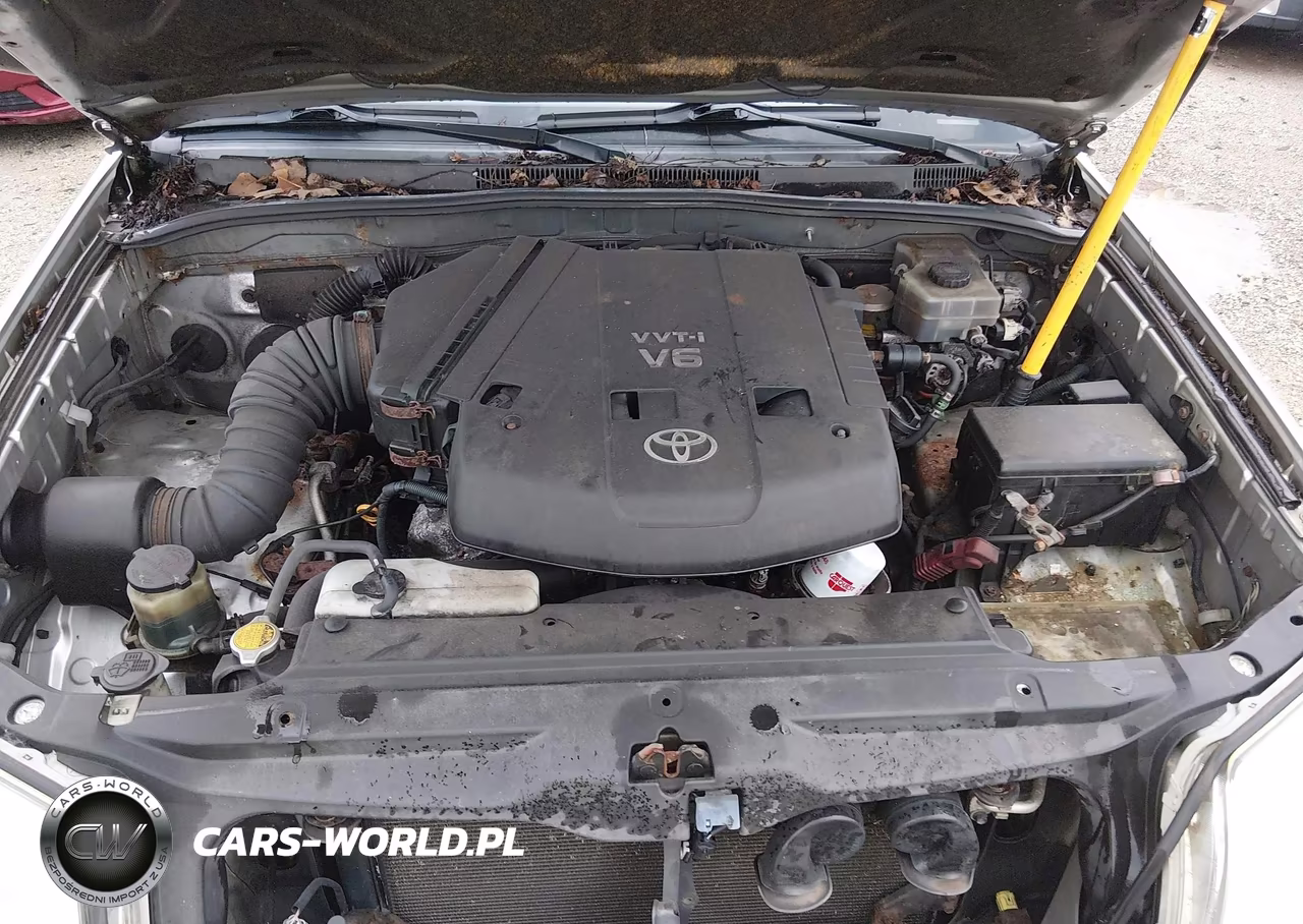 2004 Toyota 4Runner Sr5 V6 VIN:JTEBU14R740044171 - 10