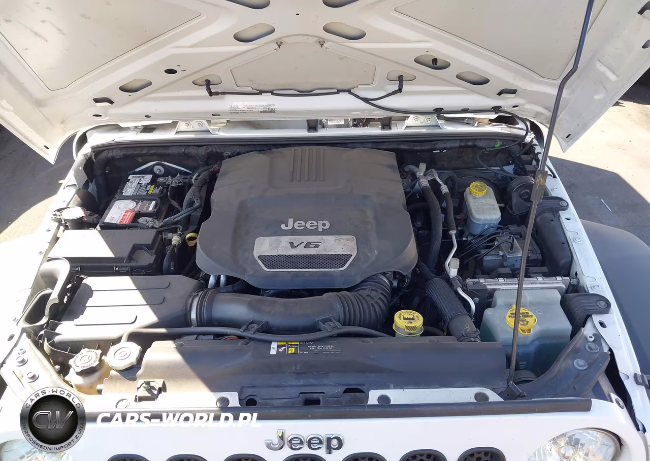 2017 Jeep Wrangler Unlimited Sport 4X4 VIN:1C4BJWDGXHL645880 - 10