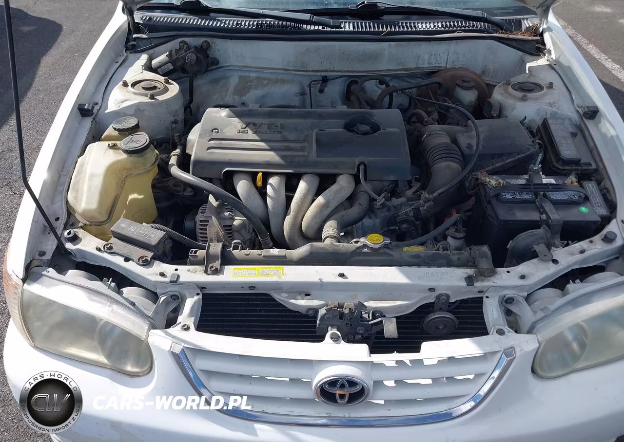 2002 Toyota Corolla S VIN:1NXBR18E02Z628359 - 10
