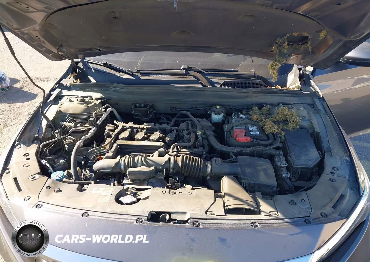 2020 Honda Accord Ex-L VIN:1HGCV1F58LA037479 - 10