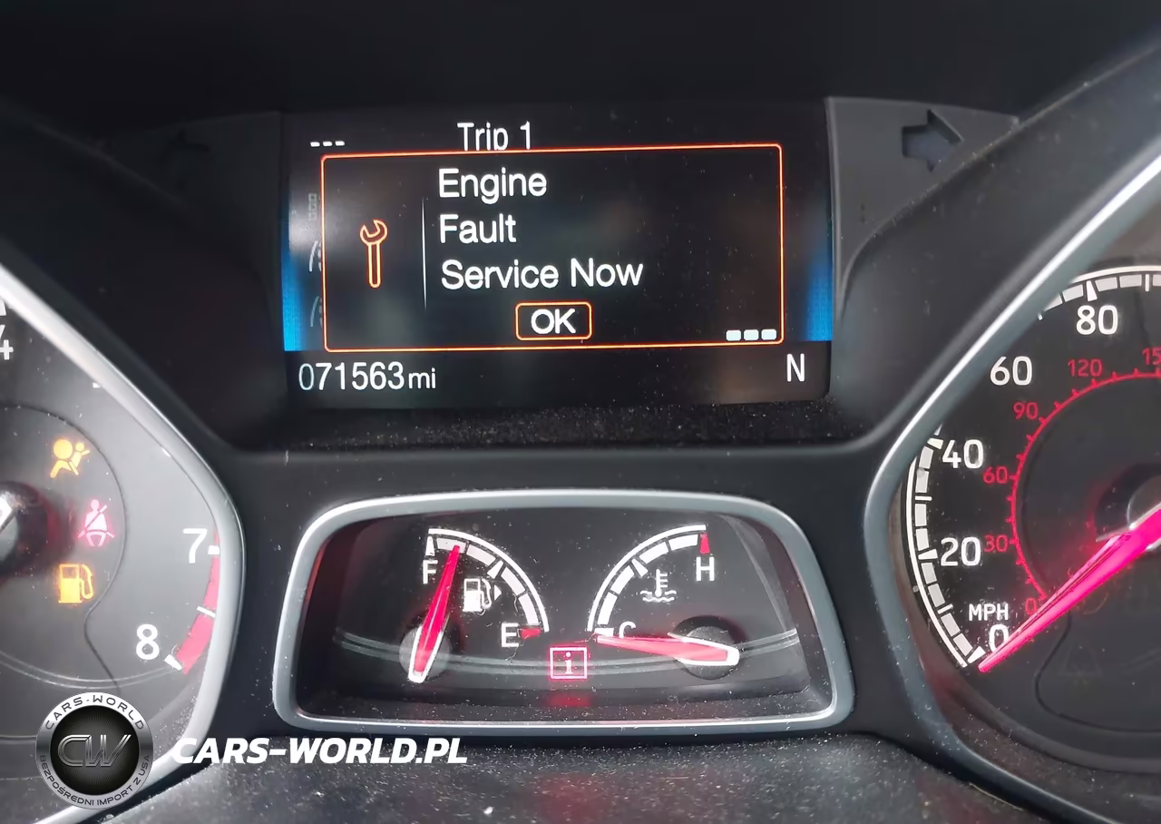 2017 Ford Focus St VIN:1FADP3L95HL299879 - 17