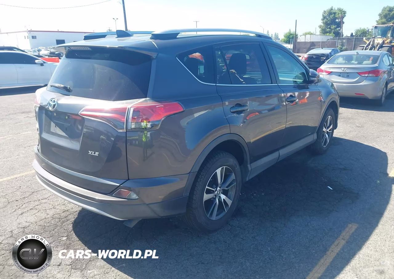 2016 Toyota Rav4 Xle VIN:2T3WFREV2GW268426 - 4