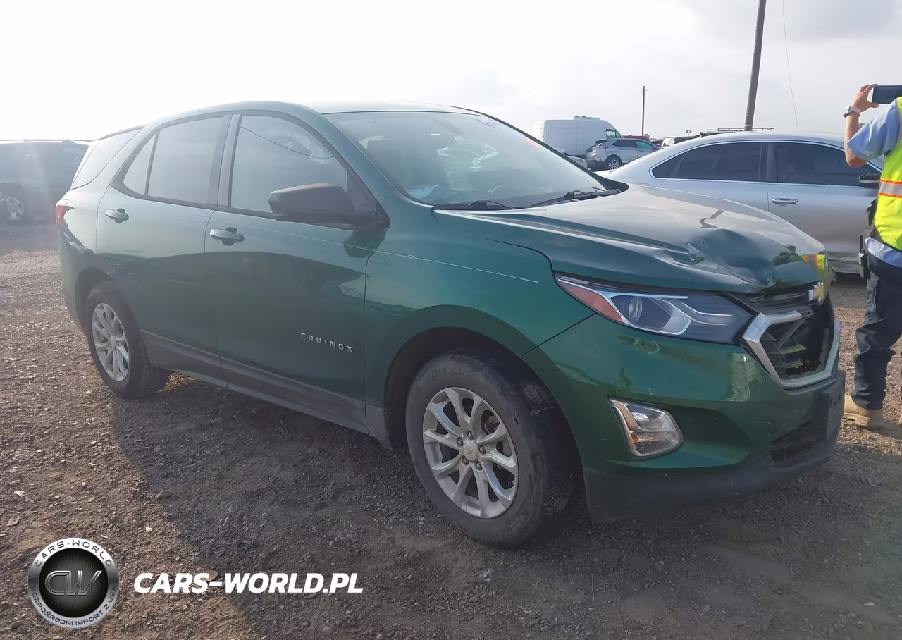 2019 Chevrolet Equinox Ls VIN:2GNAXHEV4K6159897 - 1