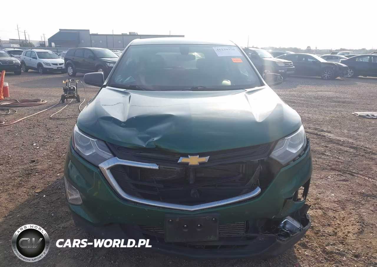 2019 Chevrolet Equinox Ls VIN:2GNAXHEV4K6159897 - 12