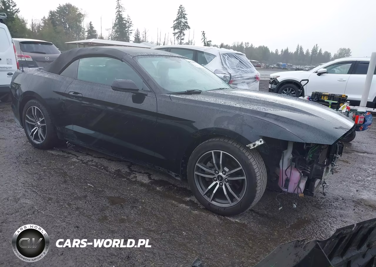 2017 Ford Mustang Ecoboost Premium VIN:1FATP8UH5H5218043 - 1