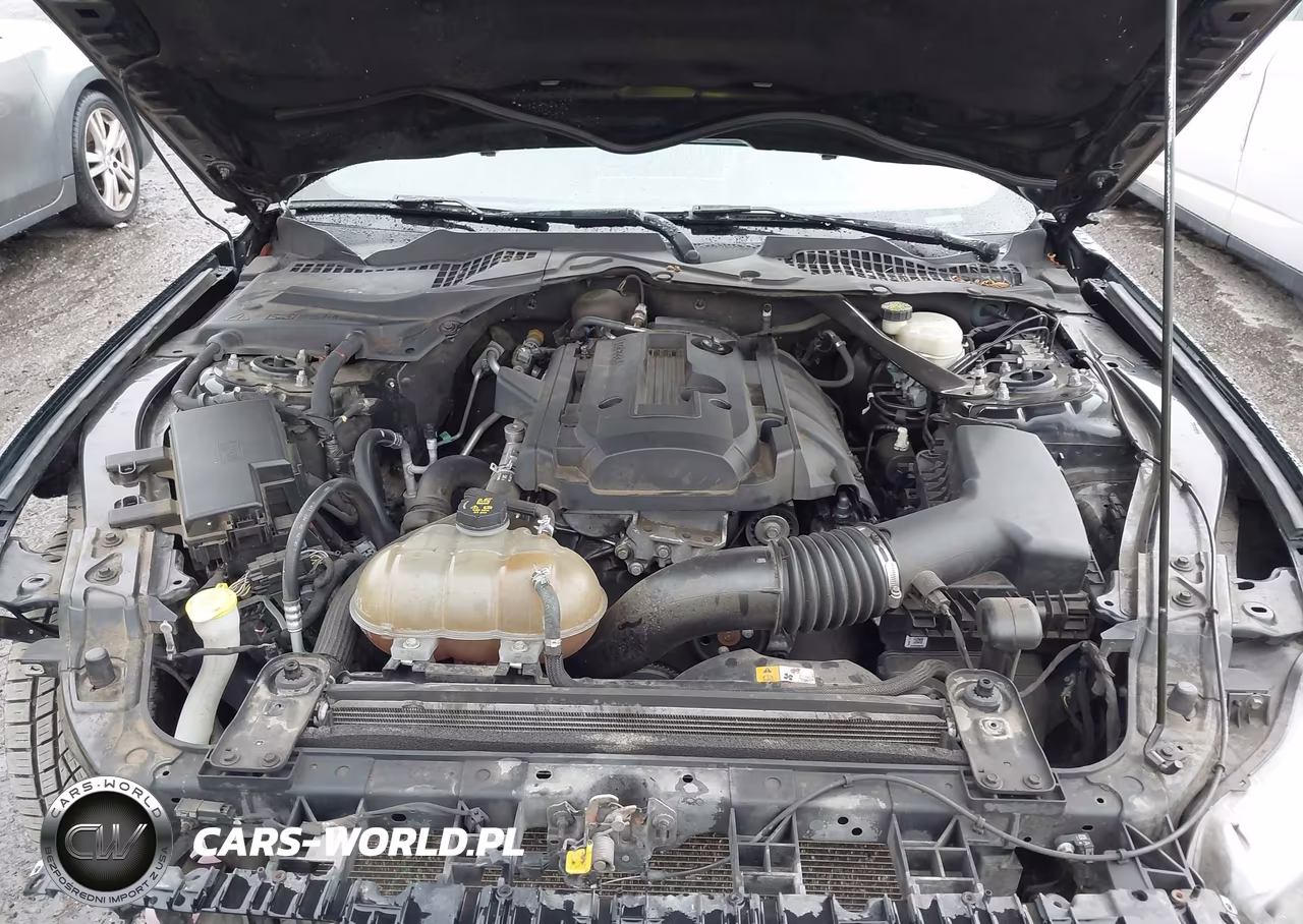 2017 Ford Mustang Ecoboost Premium VIN:1FATP8UH5H5218043 - 10