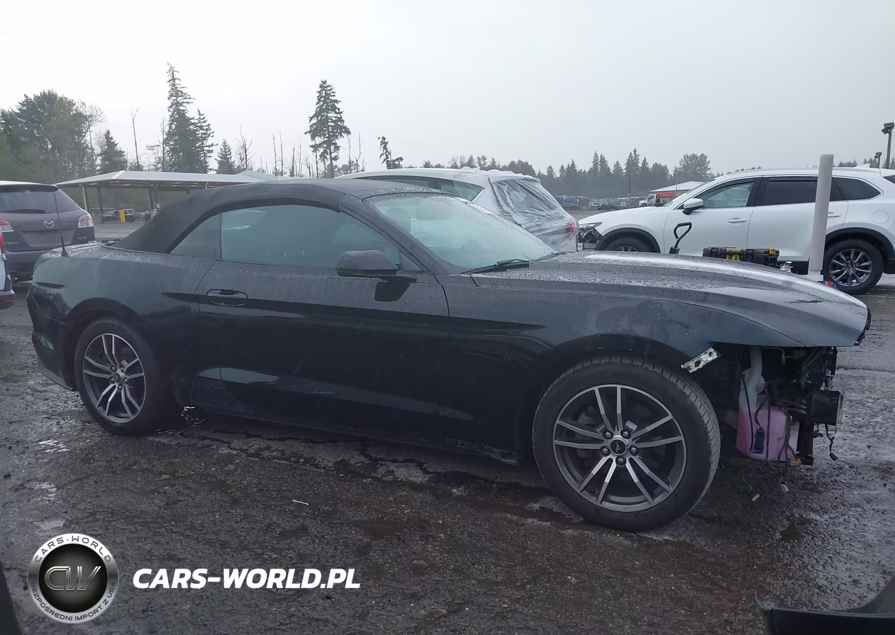 2017 Ford Mustang Ecoboost Premium VIN:1FATP8UH5H5218043 - 14
