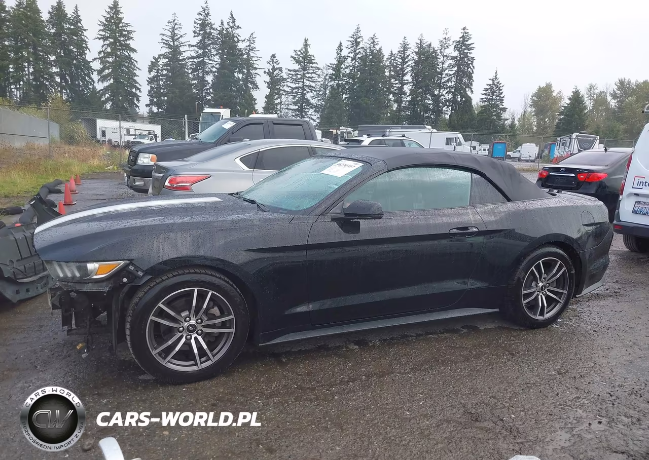 2017 Ford Mustang Ecoboost Premium VIN:1FATP8UH5H5218043 - 15