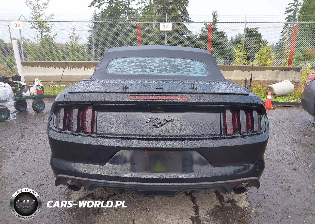 2017 Ford Mustang Ecoboost Premium VIN:1FATP8UH5H5218043 - 17