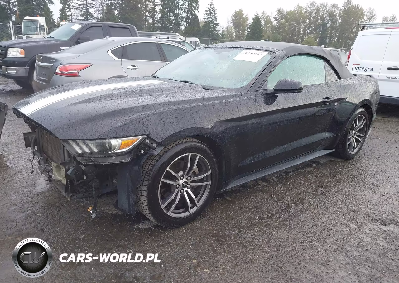 2017 Ford Mustang Ecoboost Premium VIN:1FATP8UH5H5218043 - 2