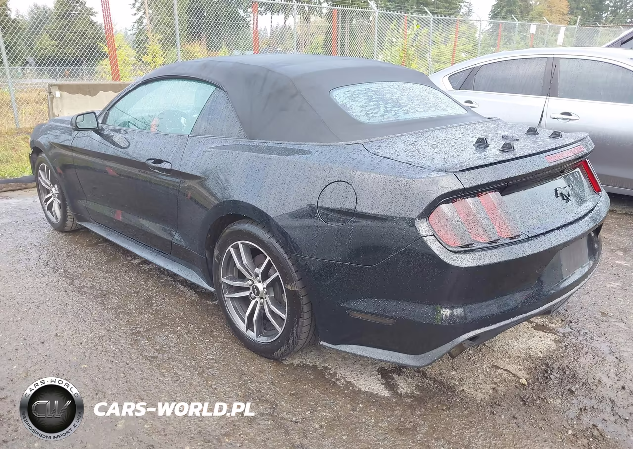 2017 Ford Mustang Ecoboost Premium VIN:1FATP8UH5H5218043 - 3