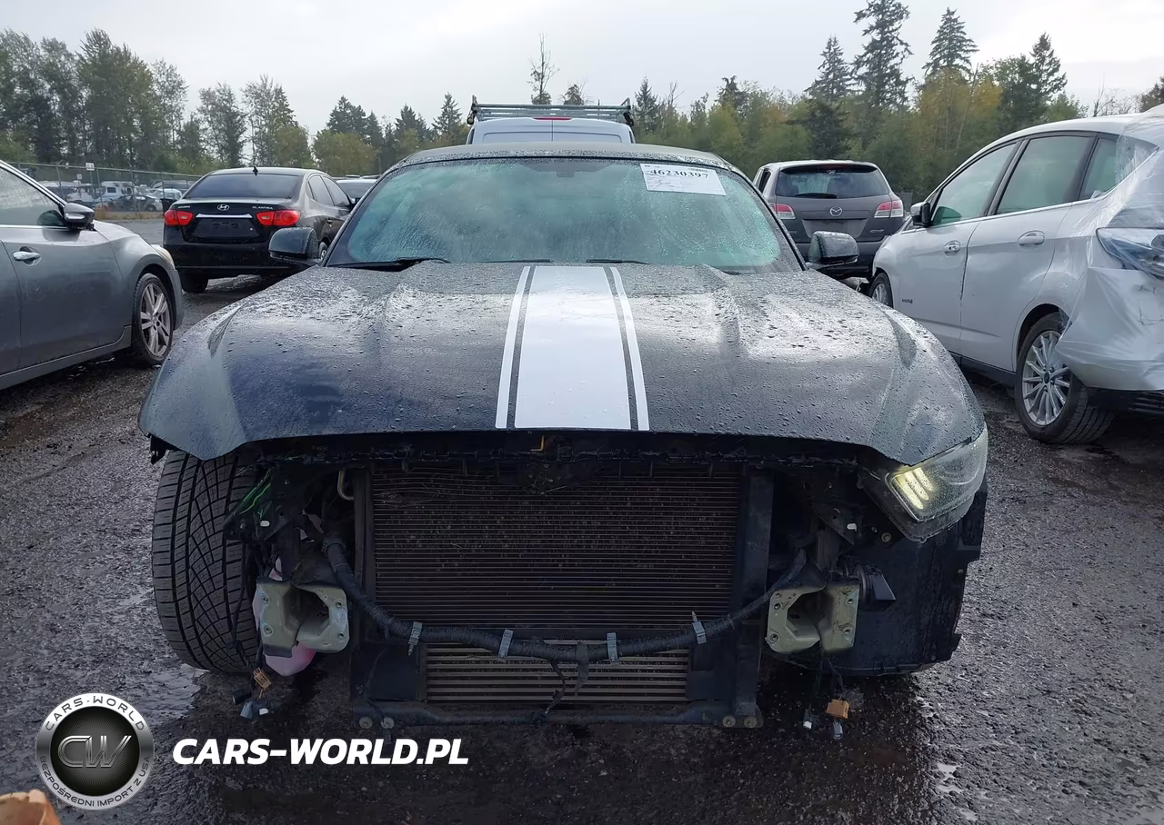 2017 Ford Mustang Ecoboost Premium VIN:1FATP8UH5H5218043 - 6