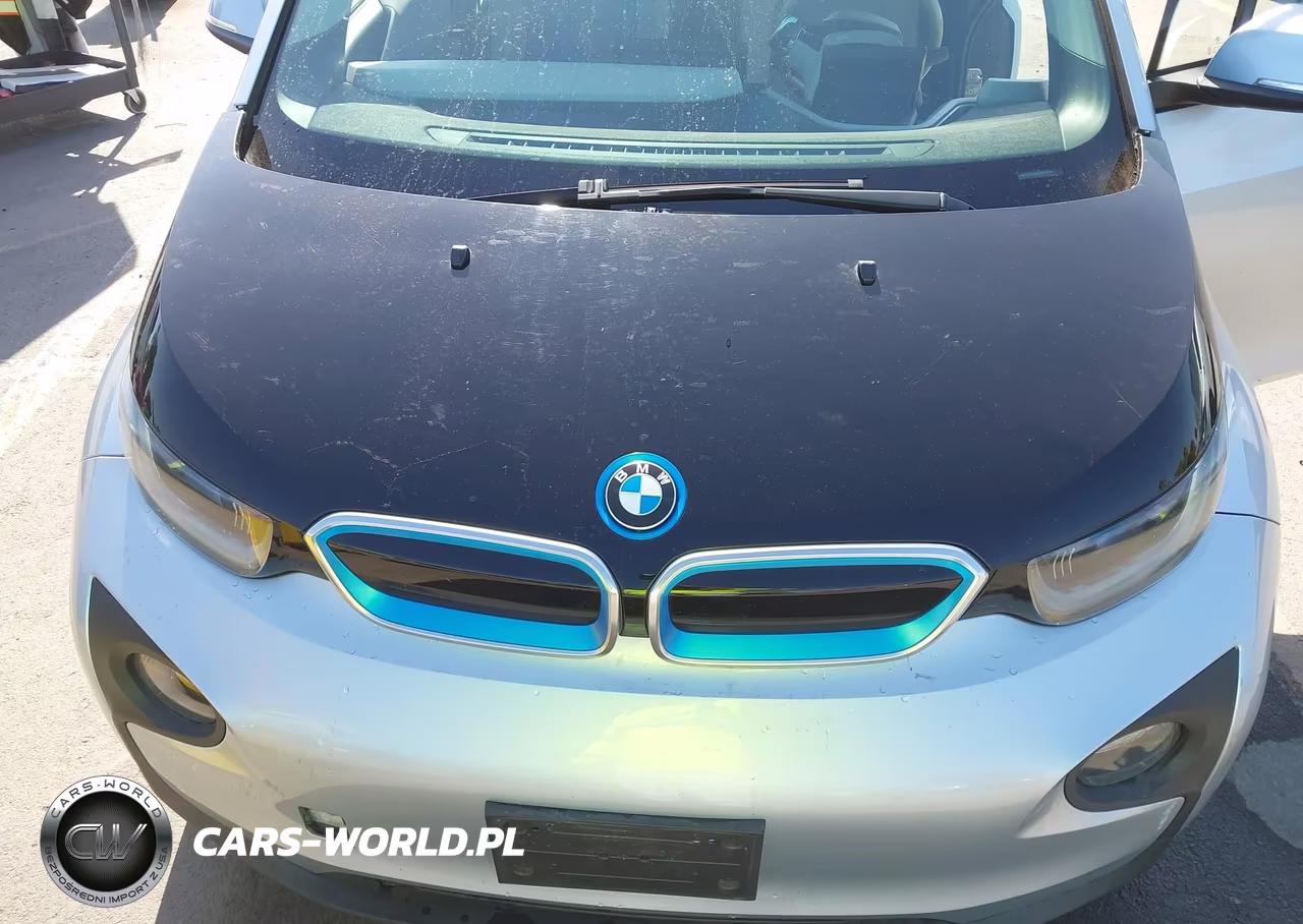 2014 BMW I3 VIN:WBY1Z2C52EVX51879 - 10