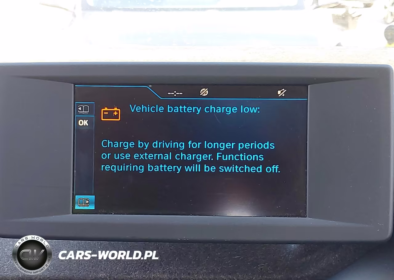2014 BMW I3 VIN:WBY1Z2C52EVX51879 - 13