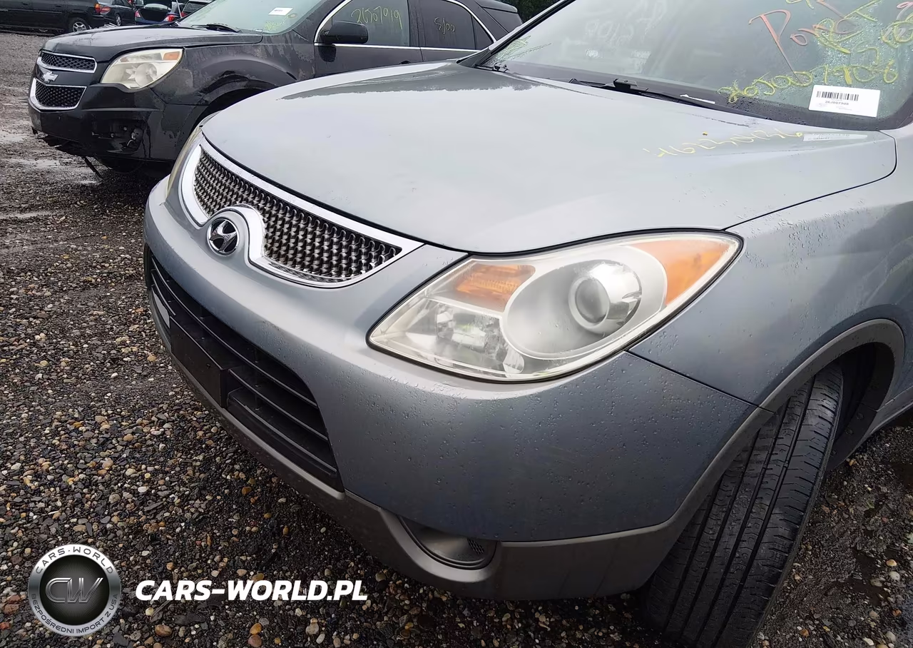 2007 Hyundai Veracruz Gls-Limited-Se VIN:KM8NU13C67U019429 - 6