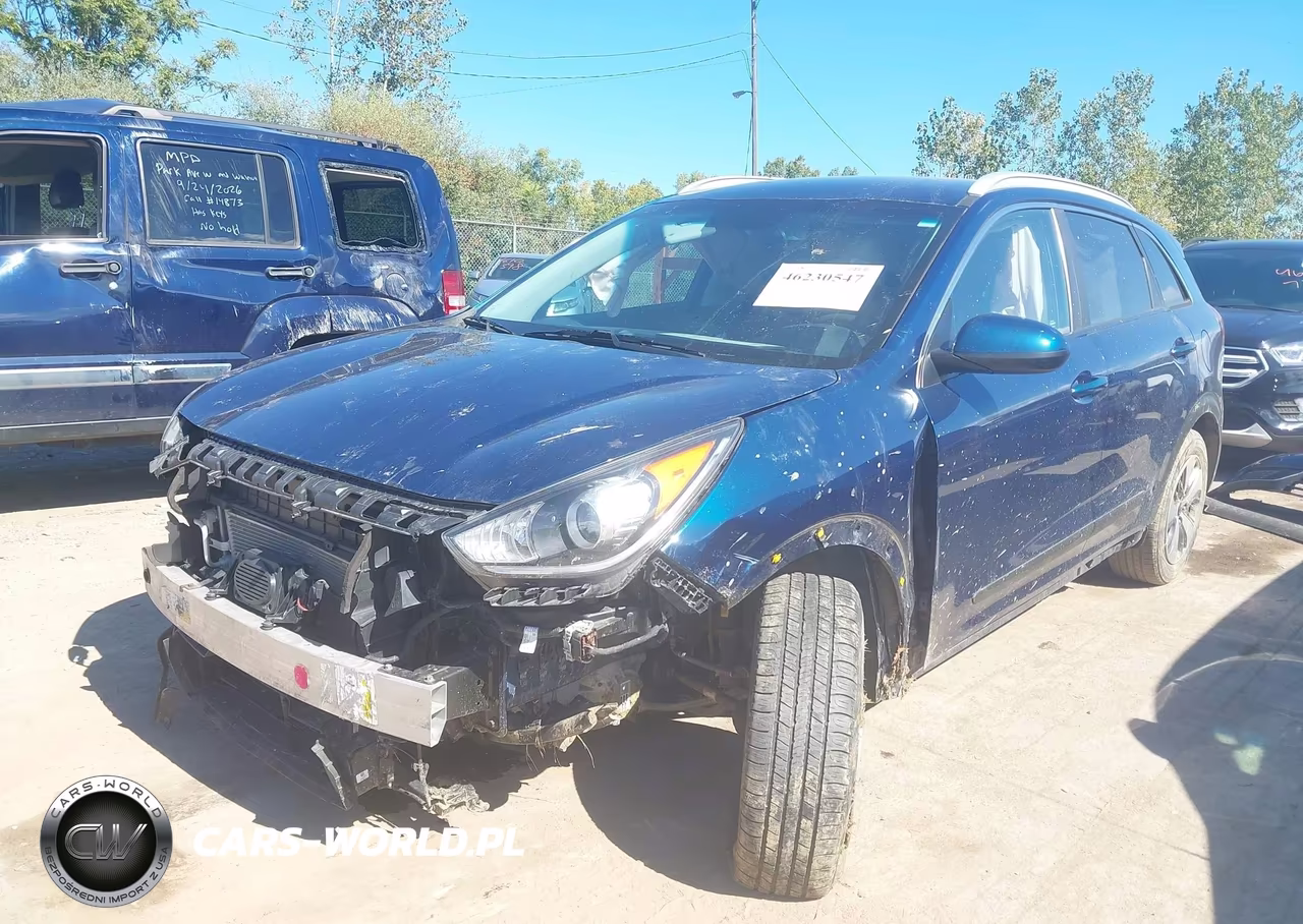 2019 Kia Niro Lx VIN:KNDCB3LC0K5241299 - 2