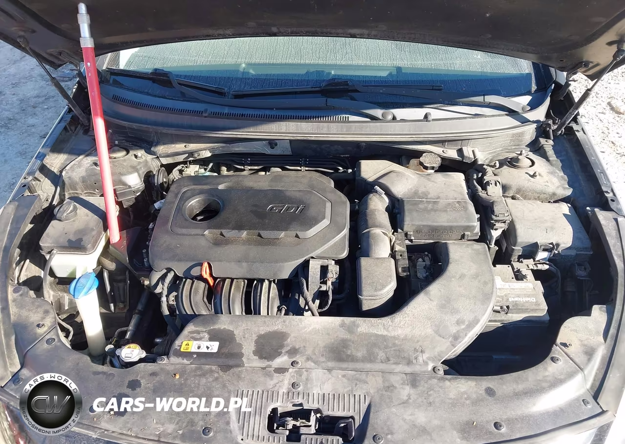 2015 Hyundai Sonata Se VIN:5NPE24AF9FH253002 - 10