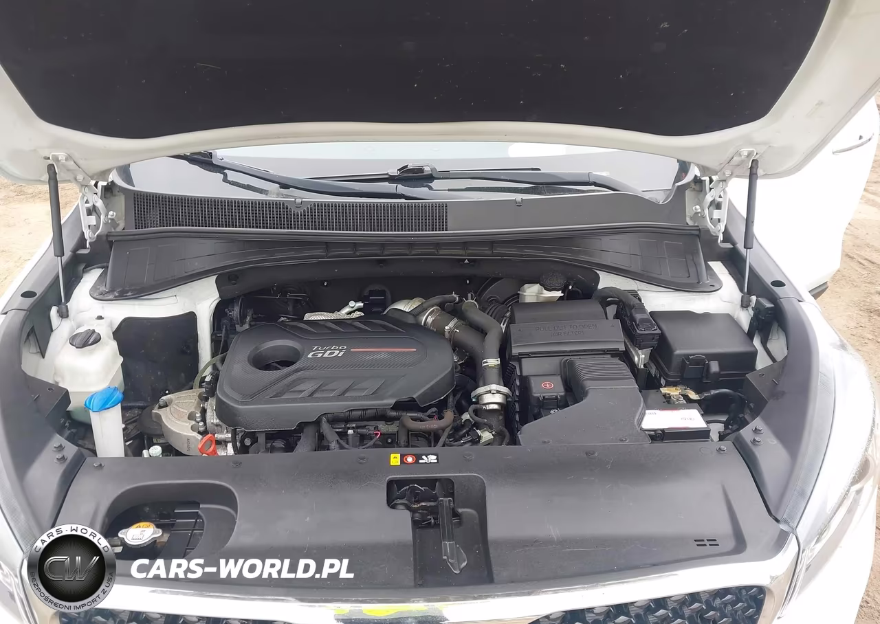 2017 Kia Sorento 2.0T Ex VIN:5XYPHDA10HG287092 - 10