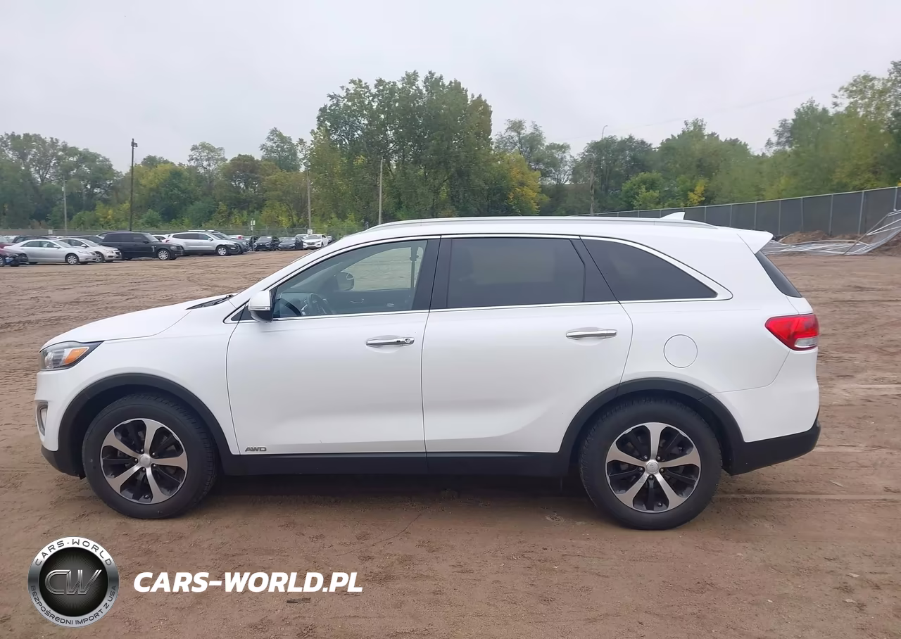 2017 Kia Sorento 2.0T Ex VIN:5XYPHDA10HG287092 - 14